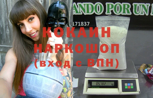 индика Абинск