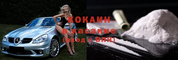 индика Абинск