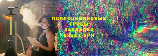индика Абинск