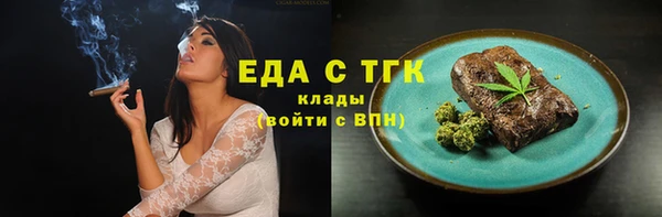 индика Абинск