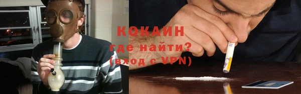 индика Абинск