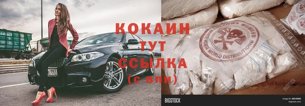 индика Абинск