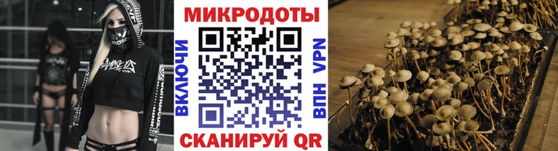 что такое наркотик  OMG ССЫЛКА  Галлюциногенные грибы прущие грибы  Приморско-Ахтарск 